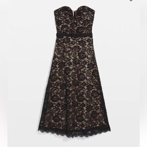 White House black market strapless lace midi dress nude sweetheart knee size 8